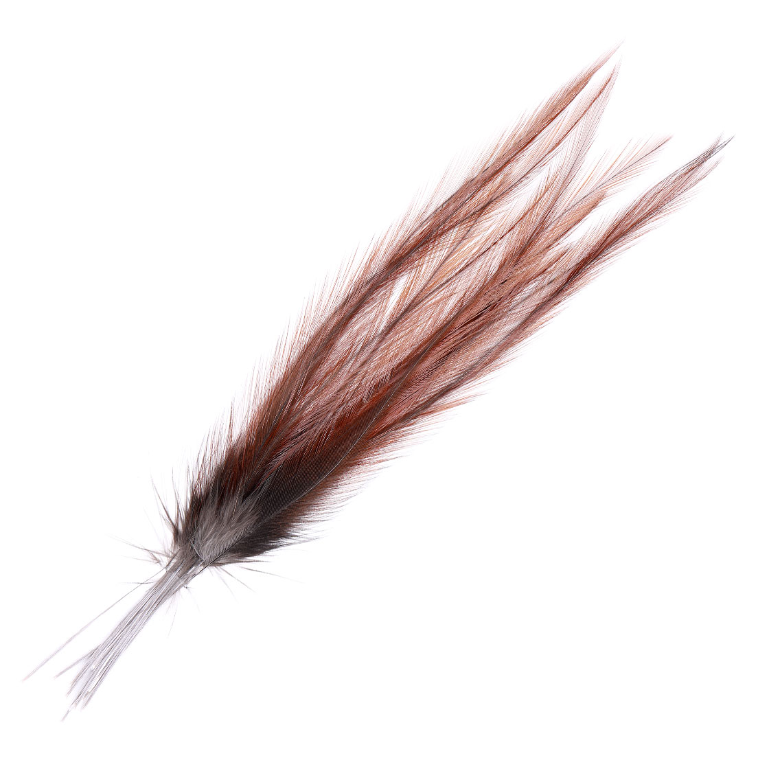 Indio rubion (brown)