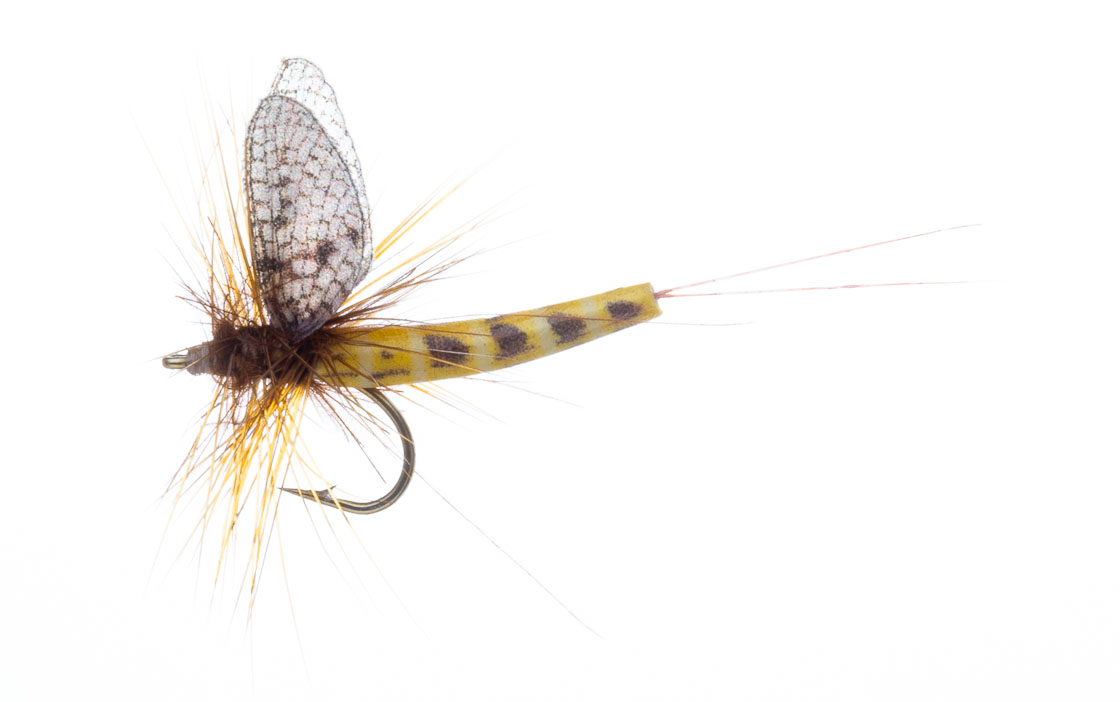 Vania Realistic Mayfly Danica SP Trockenfliege