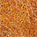 dead orange