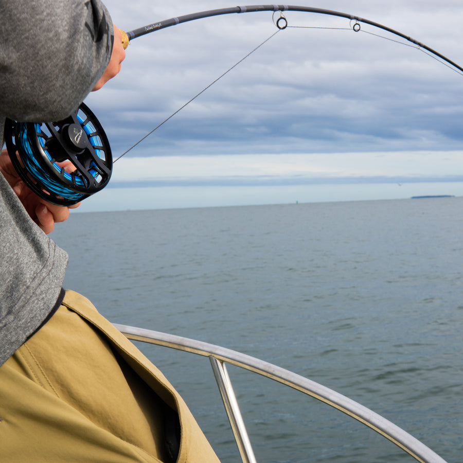 Cortland_Striped_Bass_Wolfsbarsch_Fliegenschnur_Intermediate_Sink8_3