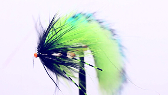 Bindevideo: Zonker Stripe Tube