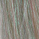rainbow baitfish