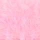 shell pink