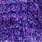 holo purple/blue