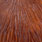 white dyed coachman brown