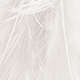 white - cream