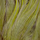 white dyed olive