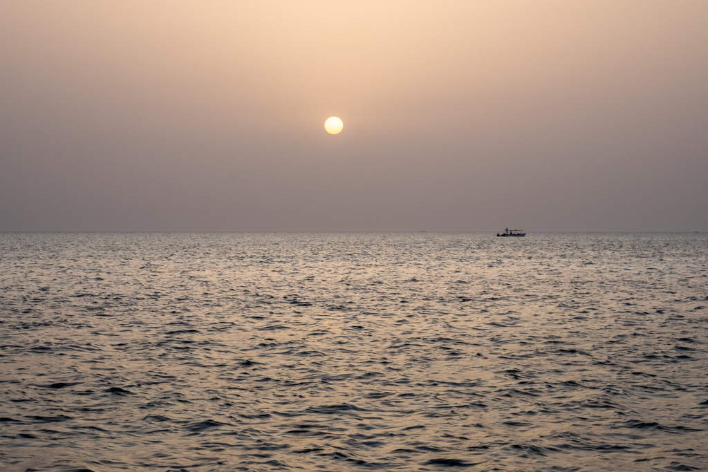 sudan2015-21 - Fliegenfischen auf den Nubischen Flats