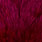white dyed claret