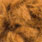 09 orange