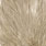 white dyed tan