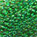 220 dark green