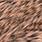 grizzly salmon