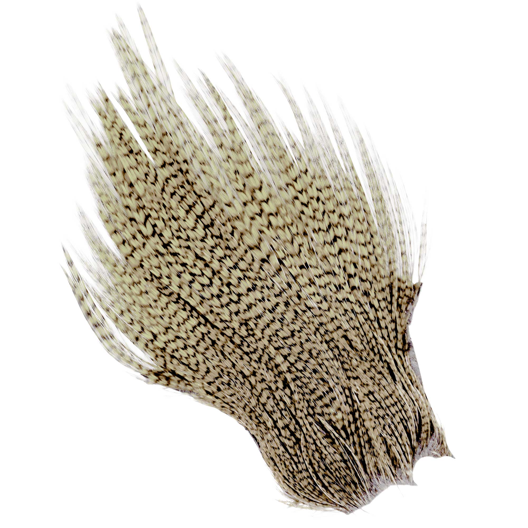 Wapsi Ewing Neck Tip Grizzly Premium Quality