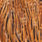 barred dark ginger