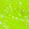 02 fluo yellow