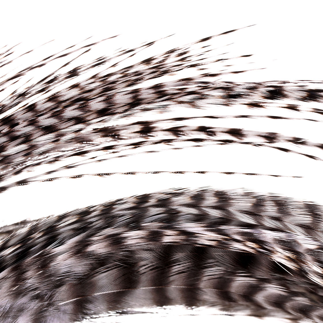 P-07075_Whiting-Dry-Fly-Hackle-Cape-Bronze-ganz-oder-halb_detail