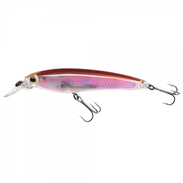 Real Smelt