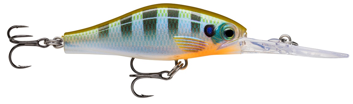 Blue Gill