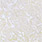 01 white