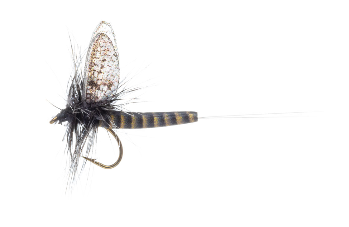 Vania Realistic Mayfly Blue Quill Trockenfliege