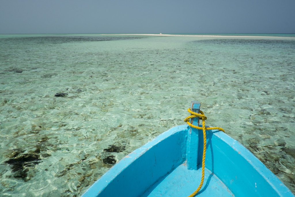 sudan2015-16 - Fliegenfischen auf den Nubischen Flats