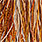 barred dark ginger