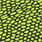 gator olive/black