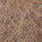 hares ear dark