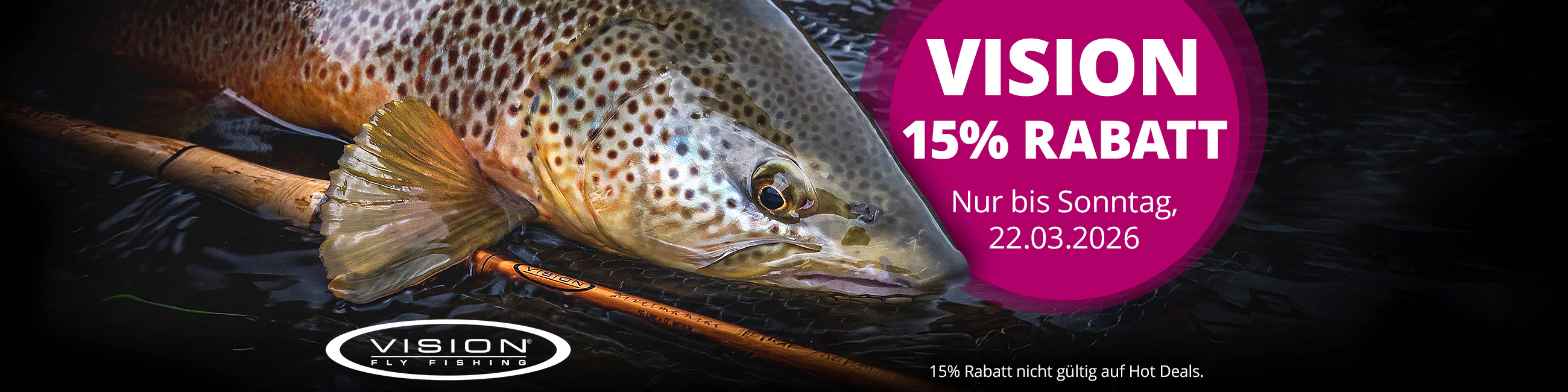 15% auf VISION bis 22.3.