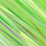 3462 chartreuse