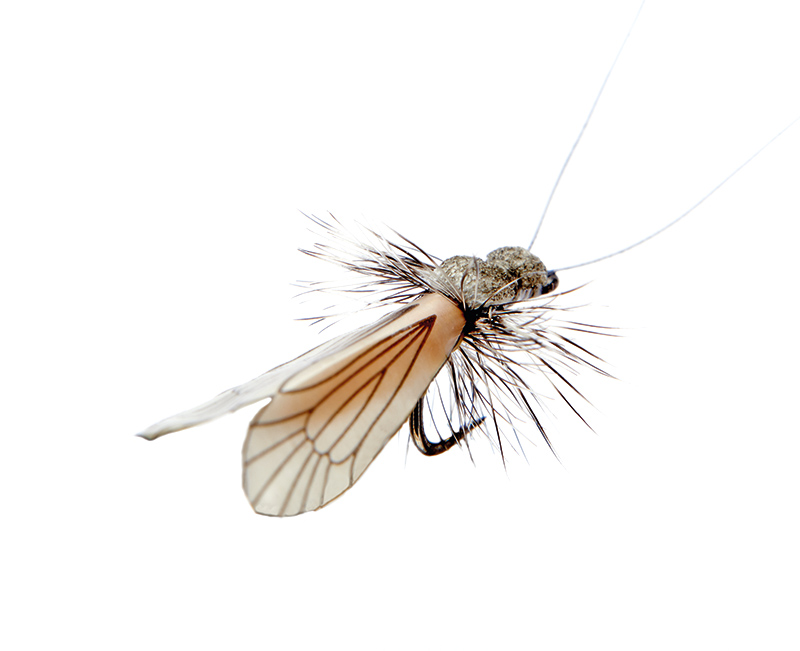 json-realistic_caddis-fly-adult-4-ash-grey-pumpkin