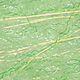 GRASS OLIVE