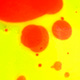 pingo & yellow