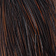 dark brown dun