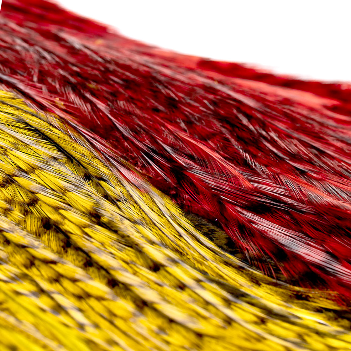 P-15937_Whiting-Rooster-Coq-de-Leon-Predator-Pack