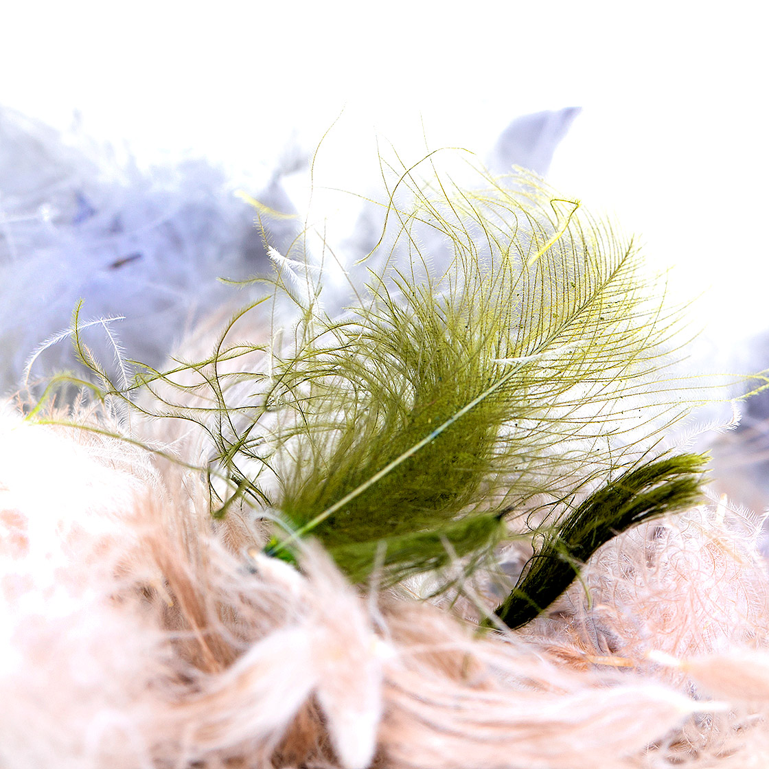 06068-SwissCDC-CDC-Puffs-titel SwissCDC CDC Puffs