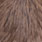natural dark dun