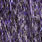 purple uv black barred
