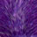 white dyed purple