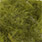 24 dark olive