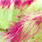 TSR 9 hot pink/brown over chartreuse