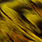 grizzly yellow