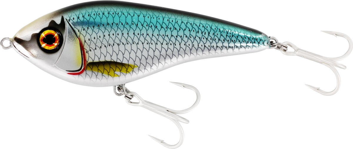 chrome sardine