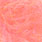coho pink