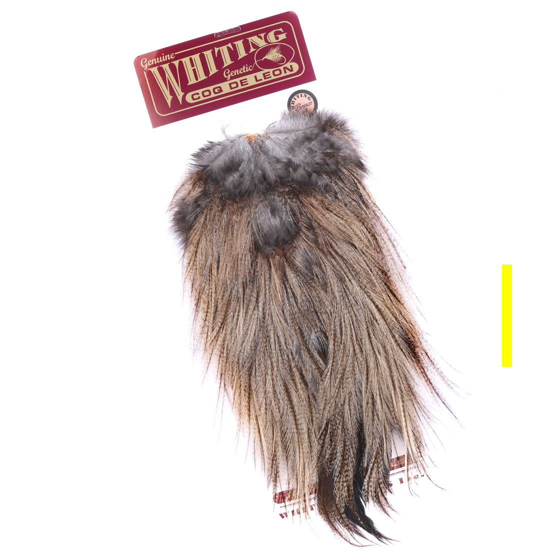 Whiting Coq de Leon Saddle Bronze