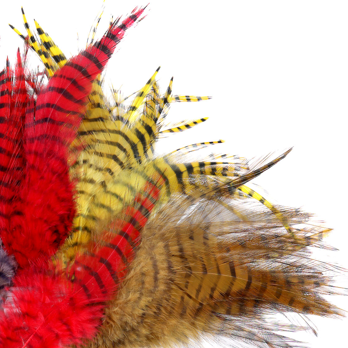 MFC Barred Saddle Hackle Grizzly Federn