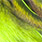 fluo chartreuse
