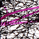 hot pink / black