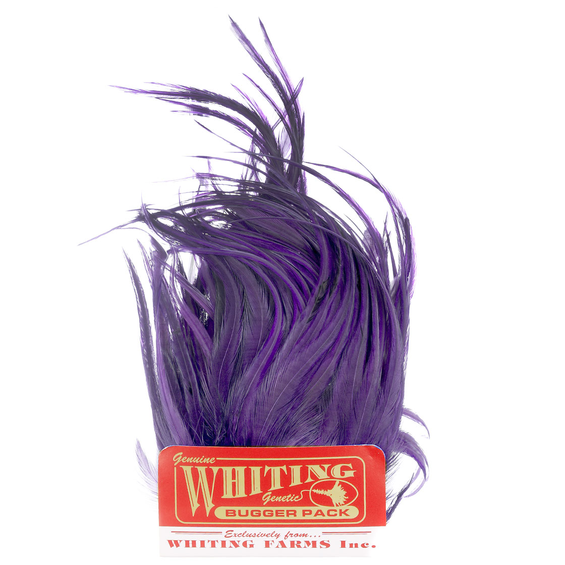 white dyed purple